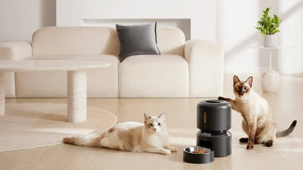 Upgrade Your Culinary Experience with Must-Have Kitchen Accessories-HomeHeart Collections