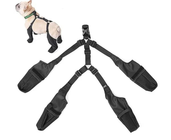 Suspender Dog Boots