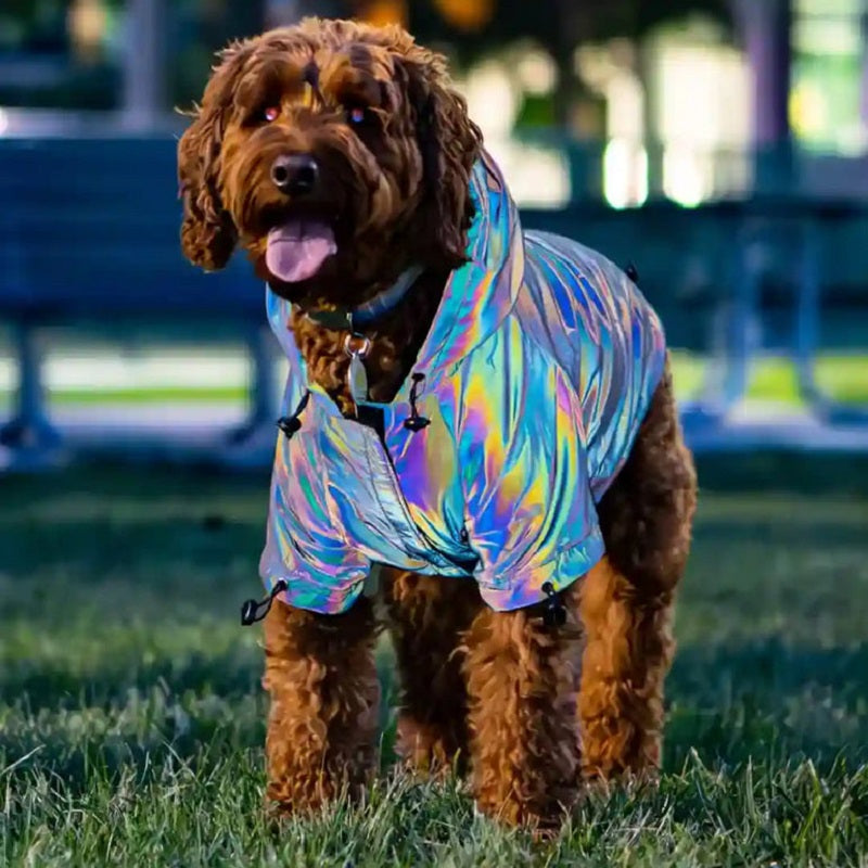 Reflective Dogs Hoodie