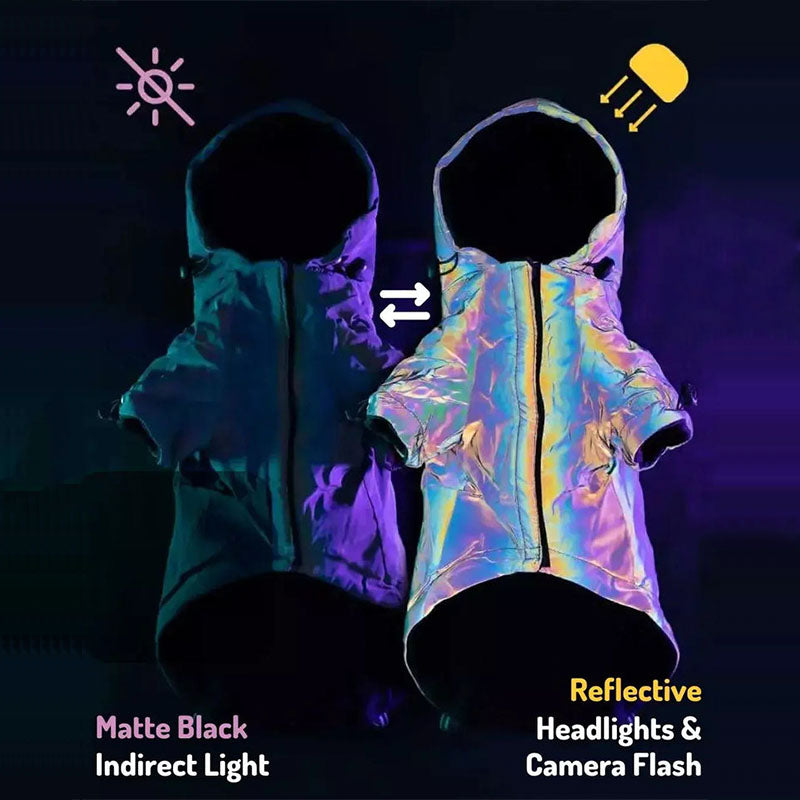 Reflective Dogs Hoodie