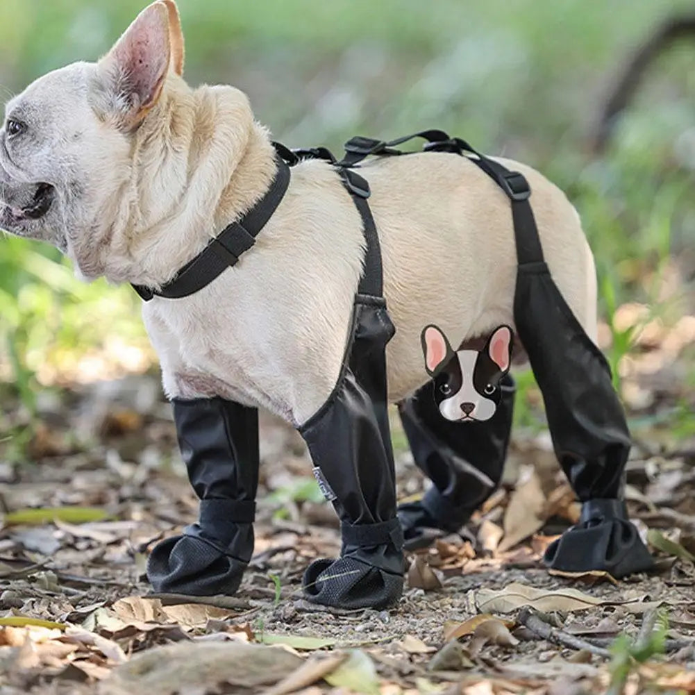 Suspender Dog Boots