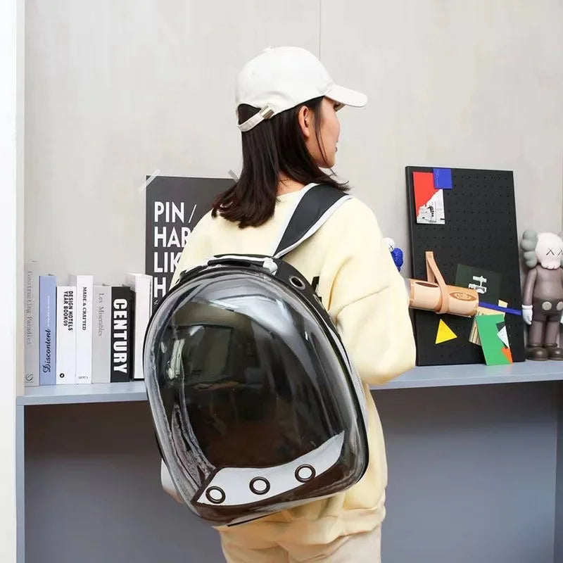 Pet Transparent Suitcase