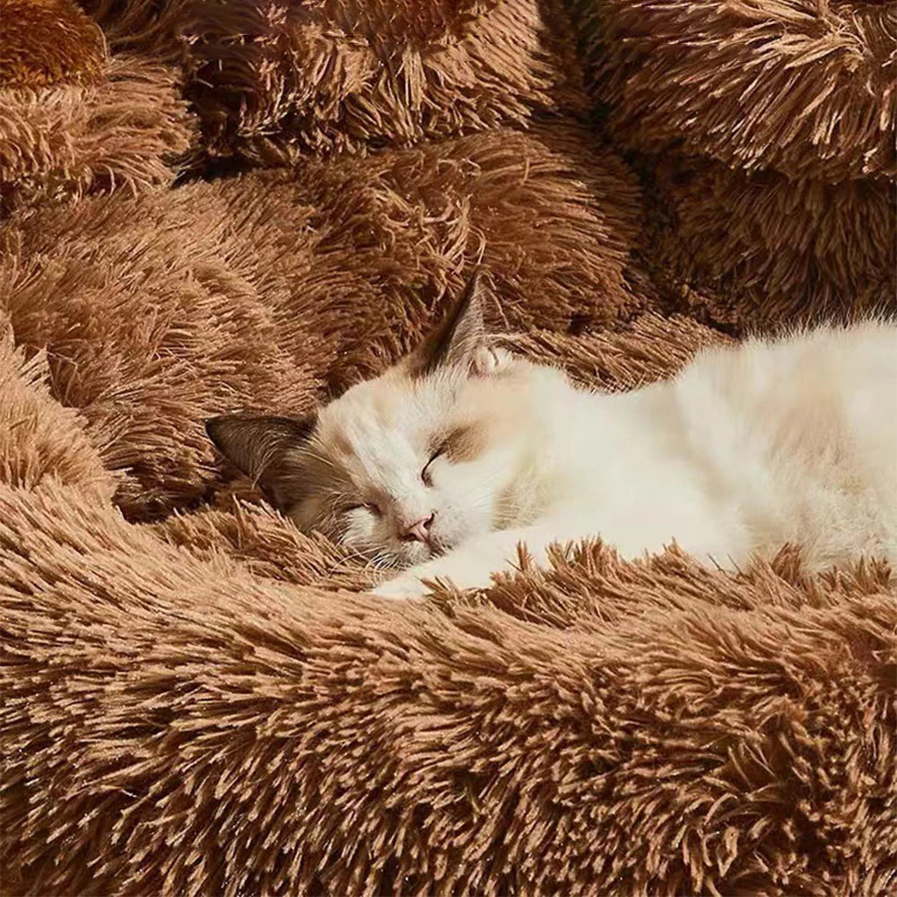 Buy Pet Calming Sofa Bed