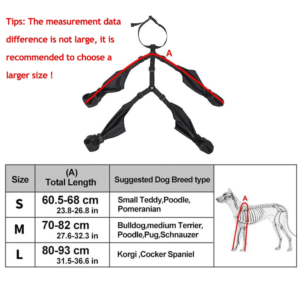 Suspender Dog Boots