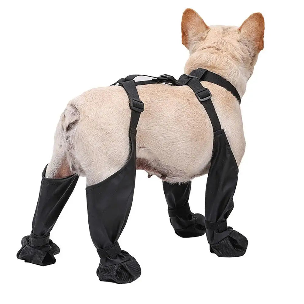 Suspender Dog Boots