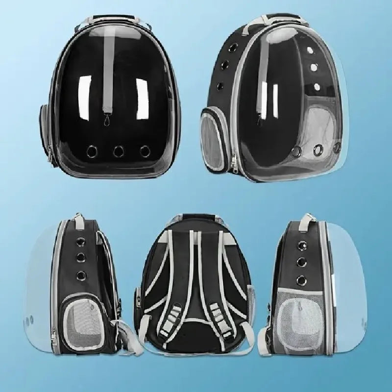 Pet Transparent Suitcase