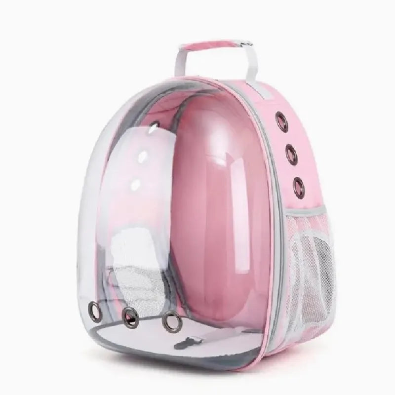 Pet Transparent Suitcase