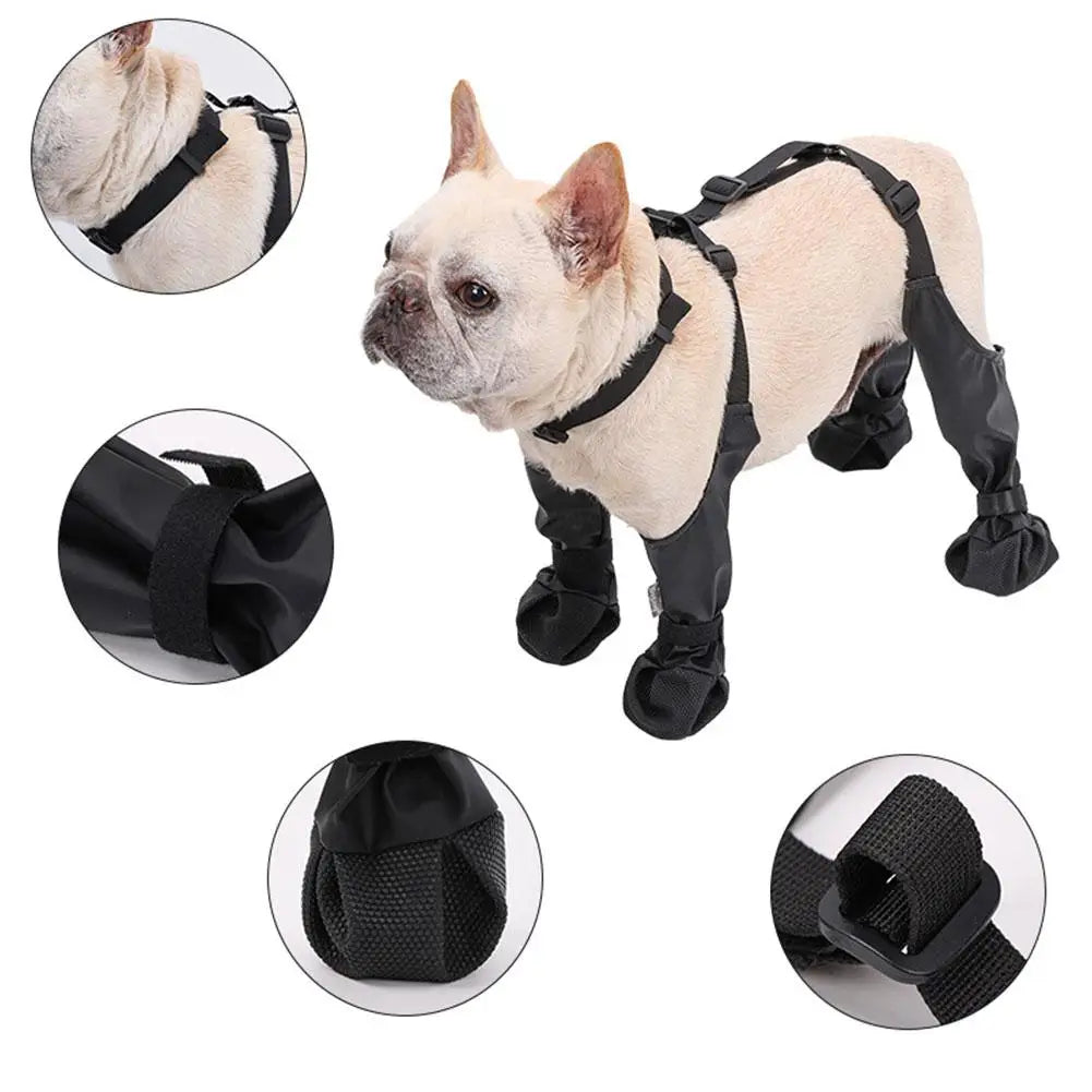 Suspender Dog Boots