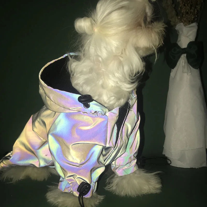Reflective Dogs Hoodie