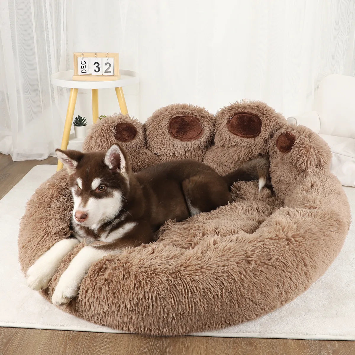 Buy Pet Calming Sofa Bed