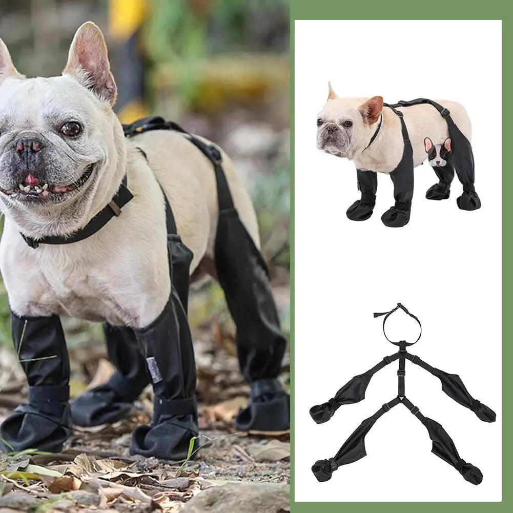 Suspender Dog Boots