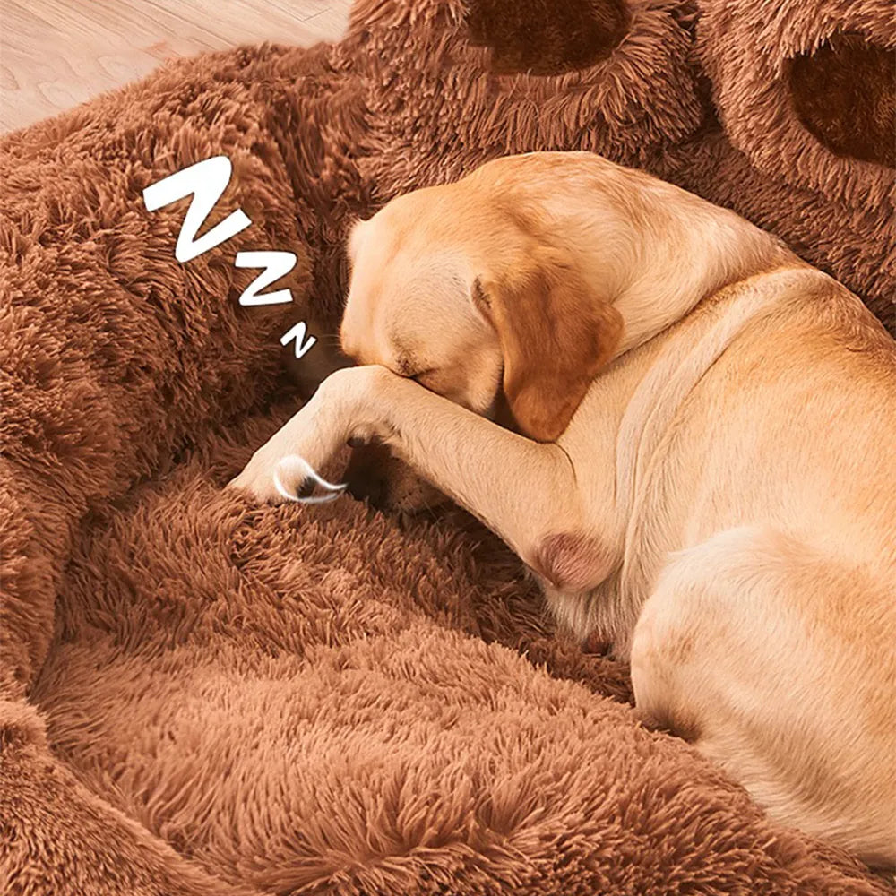 Buy Pet Calming Sofa Bed