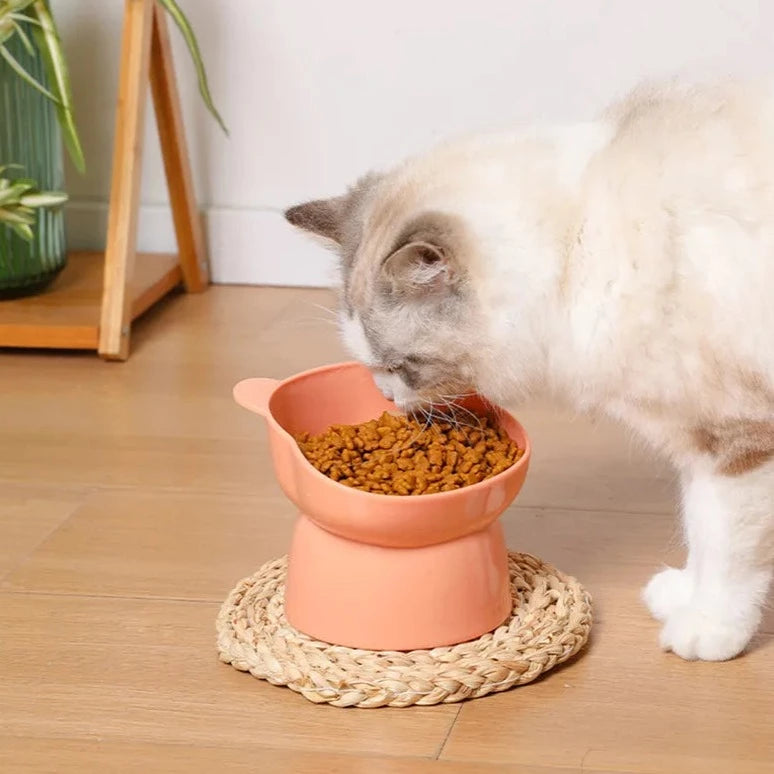 Pet Food Bowl Online