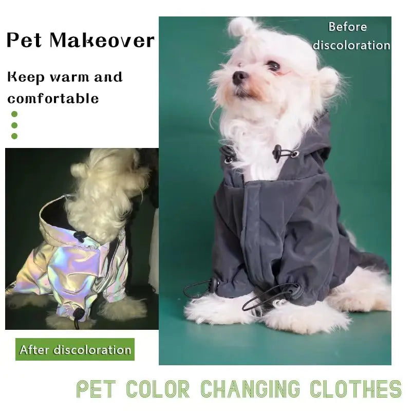 Reflective Dogs Hoodie