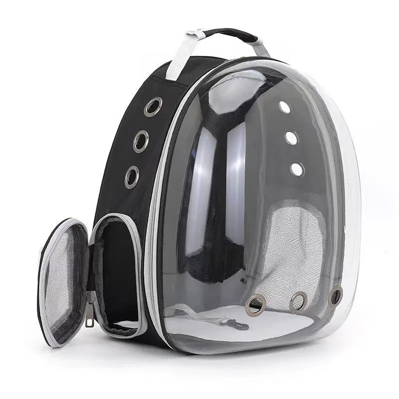 Pet Transparent Suitcases