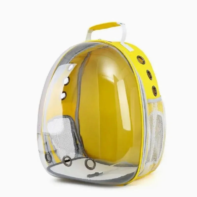 Pet Transparent Suitcase
