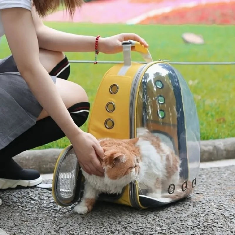 Pet Transparent Suitcase