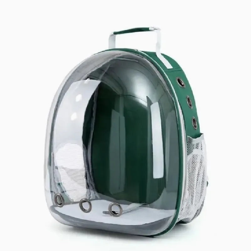 Pet Transparent Suitcase