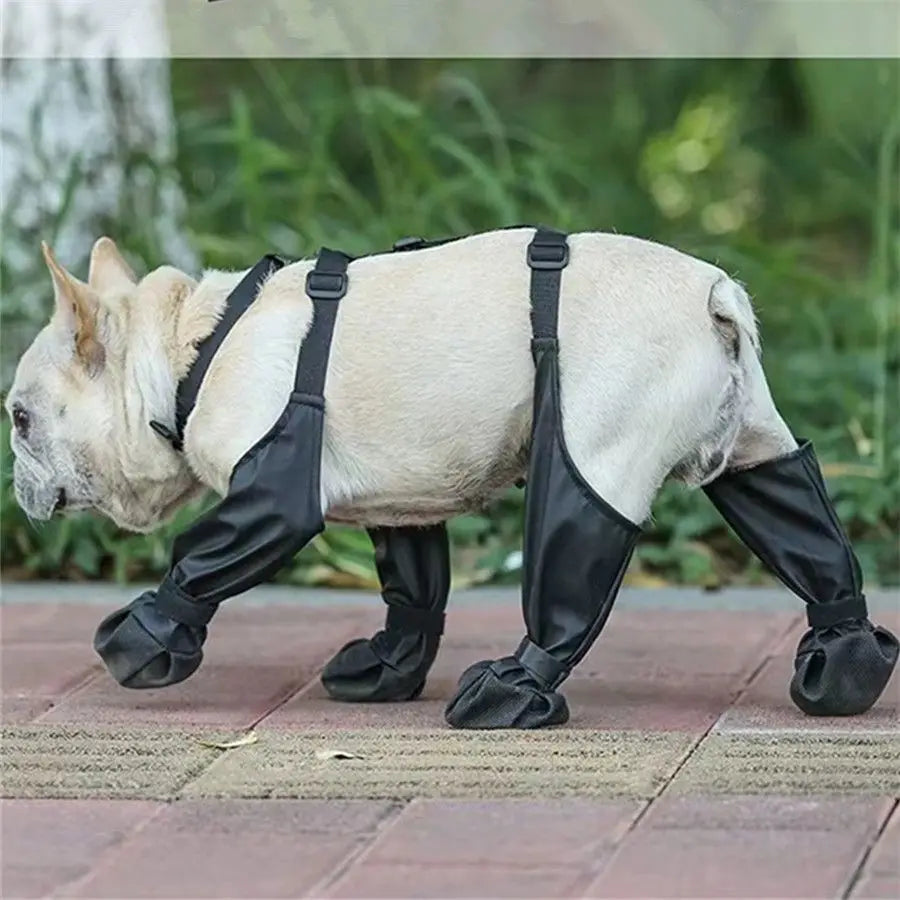 Suspender Dog Boots