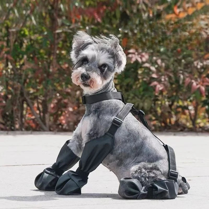 Suspender Dog Boots