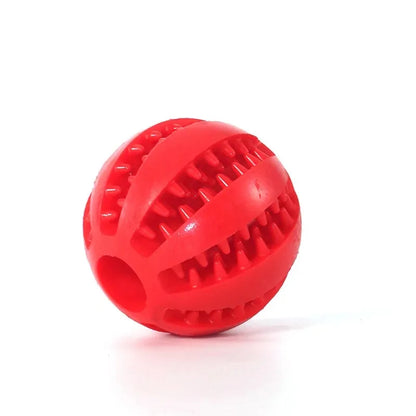 Pet Interactive Rubber Balls
