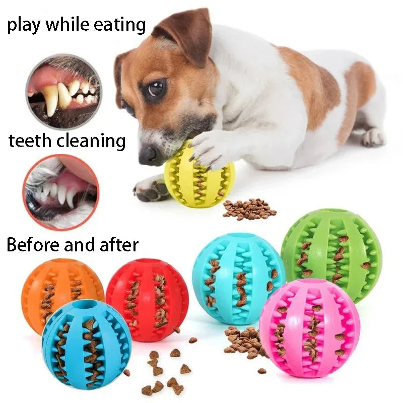 Pet Interactive Rubber Balls