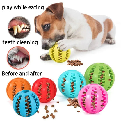 Pet Interactive Rubber Balls