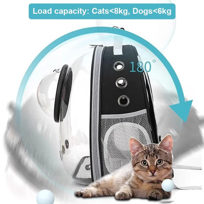 Pets Transparent Suitcase