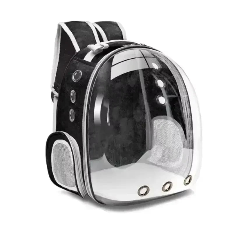 Pets Transparent Suitcase