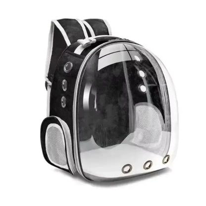 Pets Transparent Suitcase