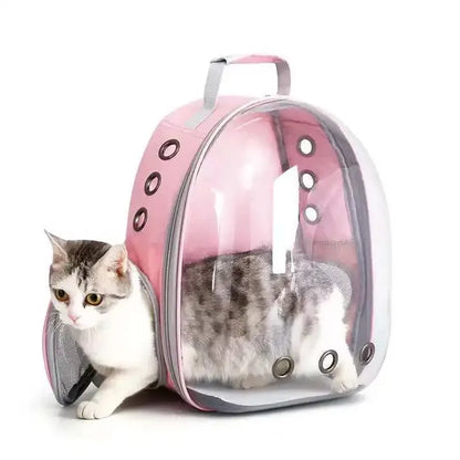 Pets Transparent Suitcase