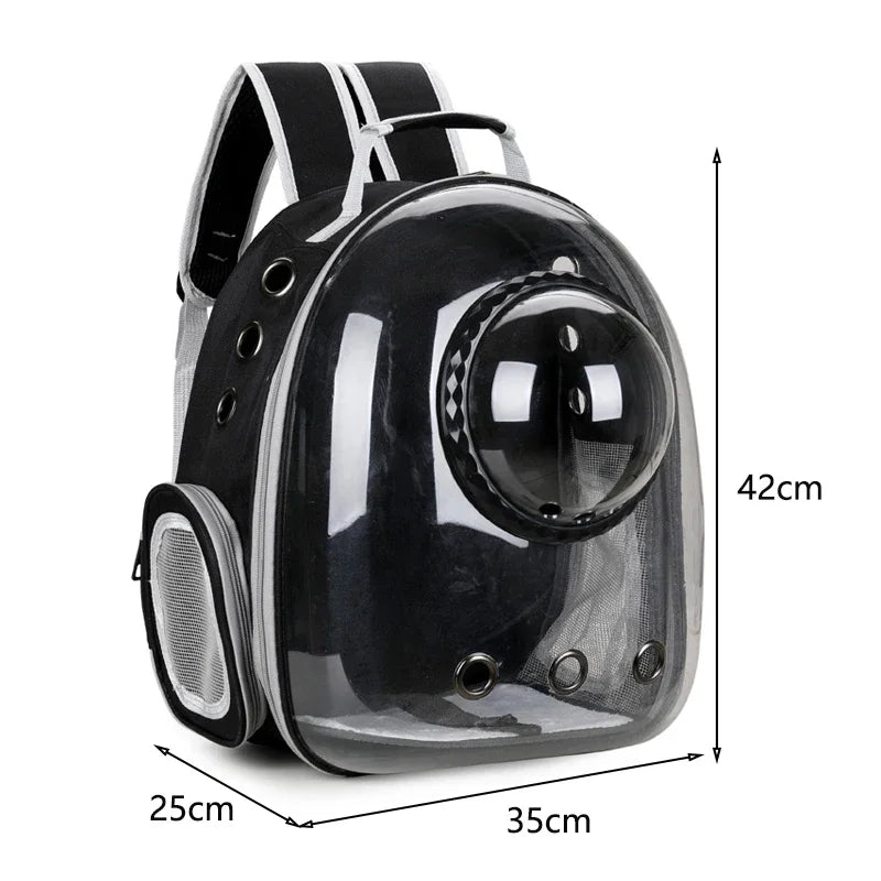 Pets Transparent Suitcase