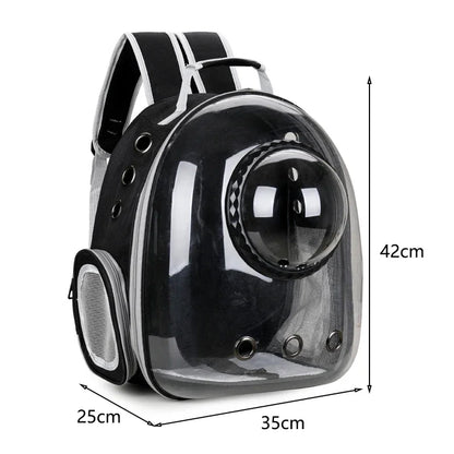 Pets Transparent Suitcase