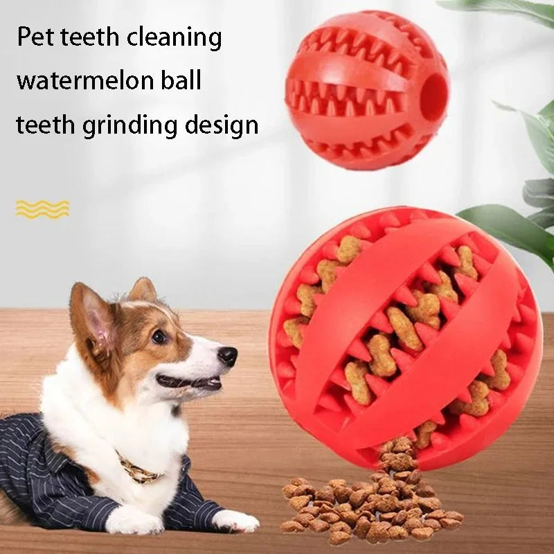 Pet Interactive Rubber Balls