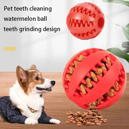 Pet Interactive Rubber Balls