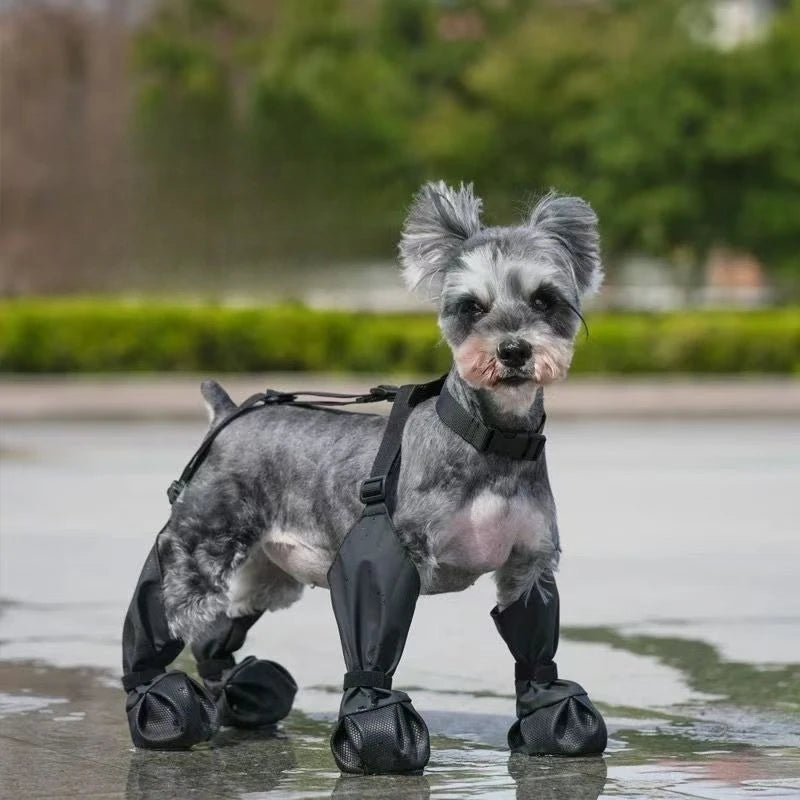 Suspender Dog Boots