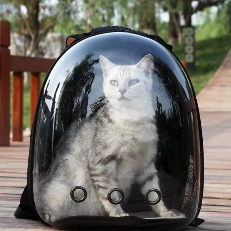 Pets Transparent Suitcase