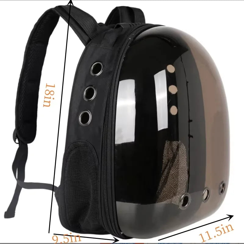 Pets Transparent Suitcase