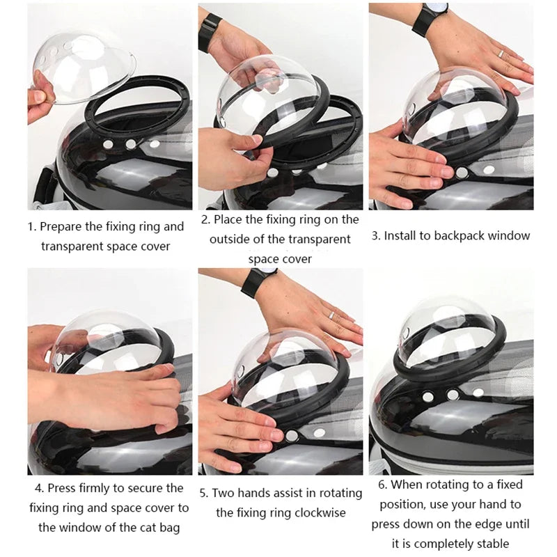 Pets Transparent Suitcase