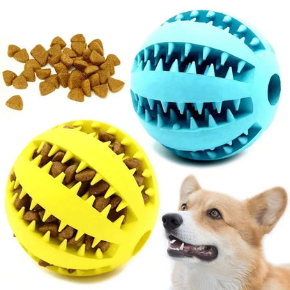 Pet Interactive Rubber Balls