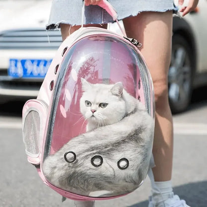 Pets Transparent Suitcase