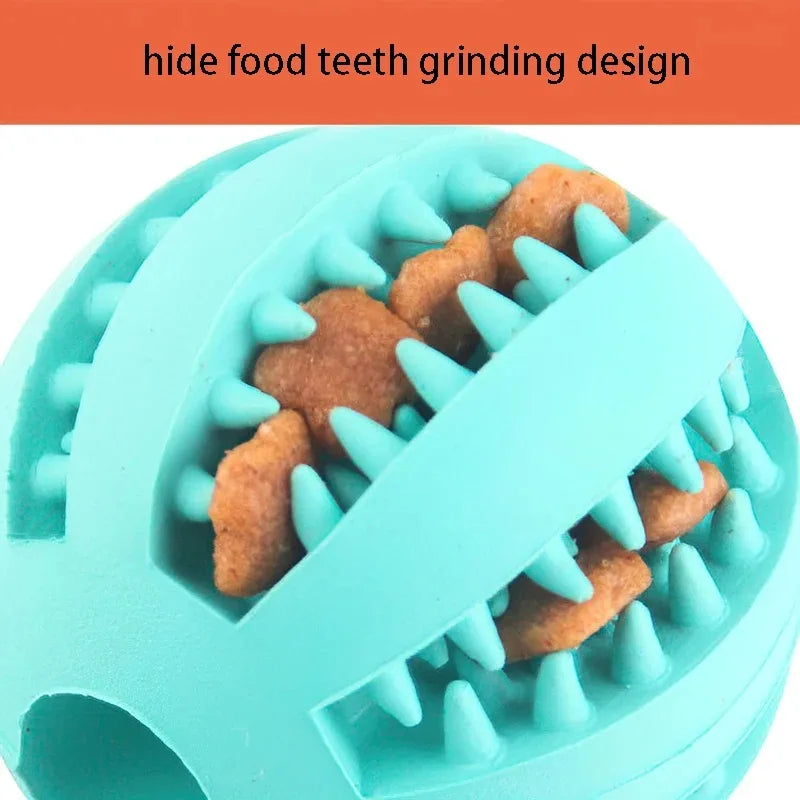 Pet Interactive Rubber Balls