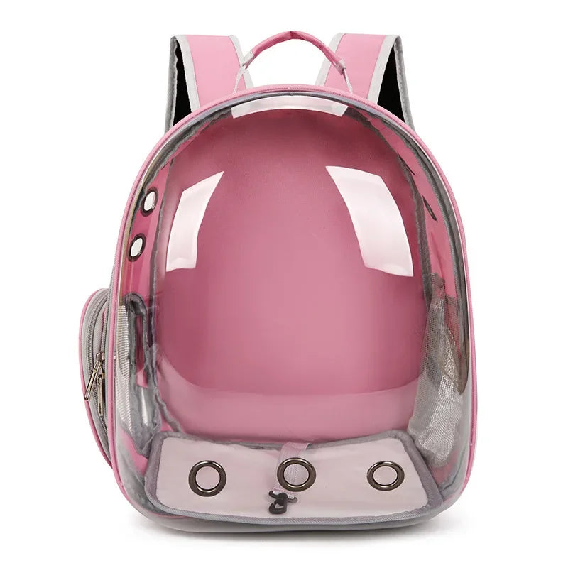 Pets Transparent Suitcase