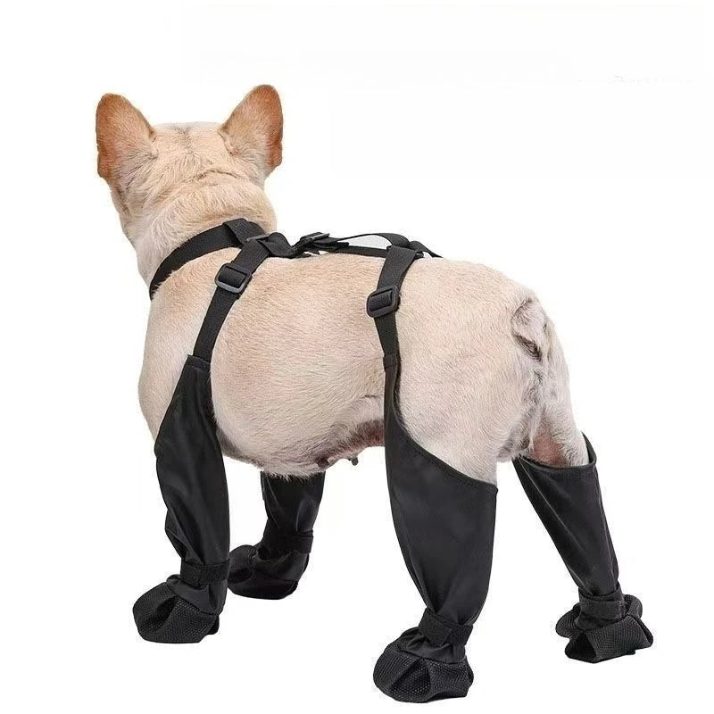 Suspender Dog Boots