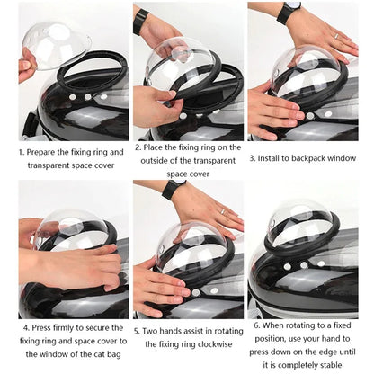 Pets Transparent Suitcase