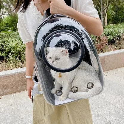Pets Transparent Suitcase