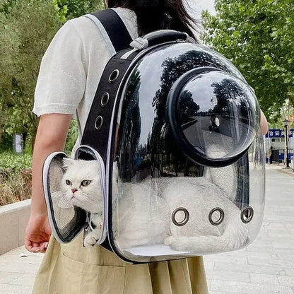 Pets Transparent Suitcase