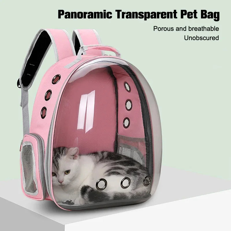 Pets Transparent Suitcase